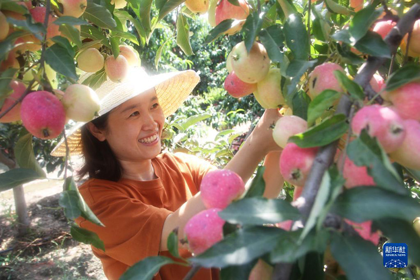 ????? ???????? ?????? ?????? ???? ??????????? ????????? ????????? ???????? ??????? ????? ???????(2)