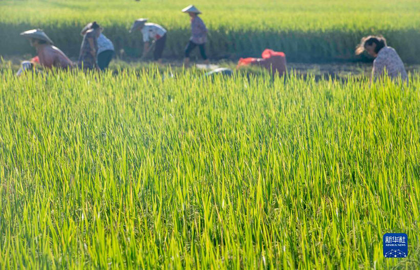 ????? ???????? ?????? ?????? ???? ??????????? ????????? ????????? ???????? ??????? ????? ???????(4)