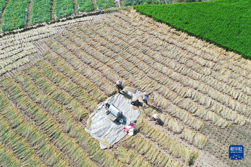 ????? ???????? ?????? ?????? ???? ??????????? ????????? ????????? ???????? ??????? ????? ???????(5)