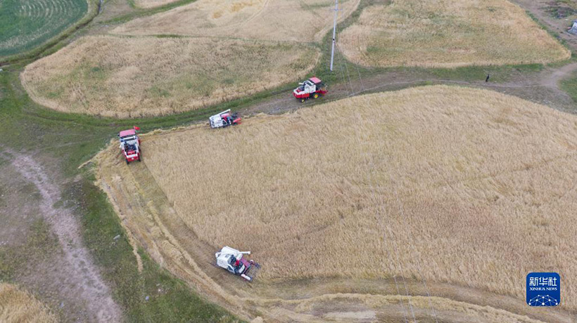 ???????? ????????? ??????: ???? ?????(2)