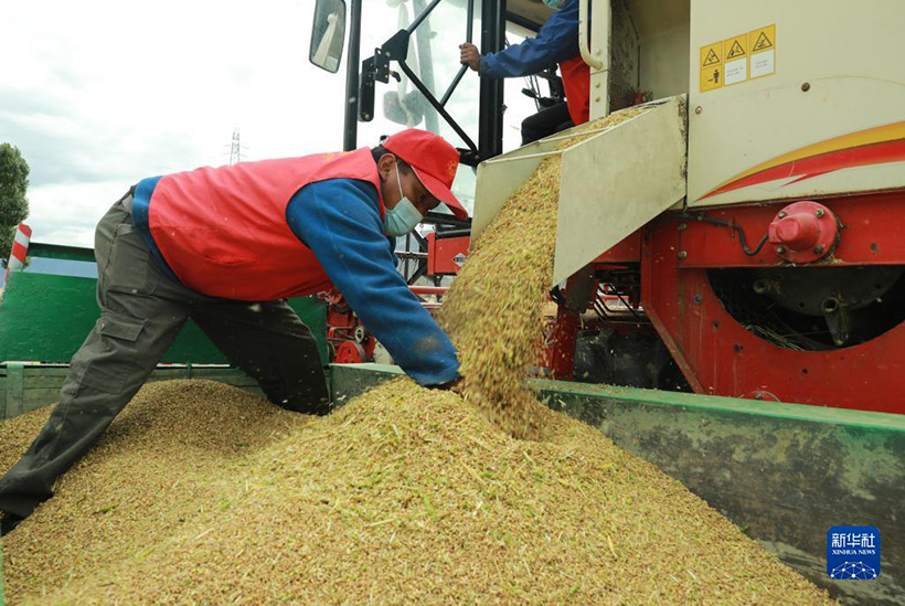 ???????? ????????? ??????: ???? ?????(4)