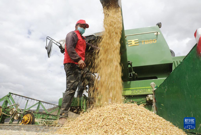 ???????? ????????? ??????: ???? ?????(5)