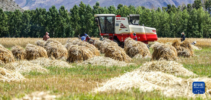 ????? ?????? ??????: ????? ???? – ????? ???????? ?????? ???????(2)