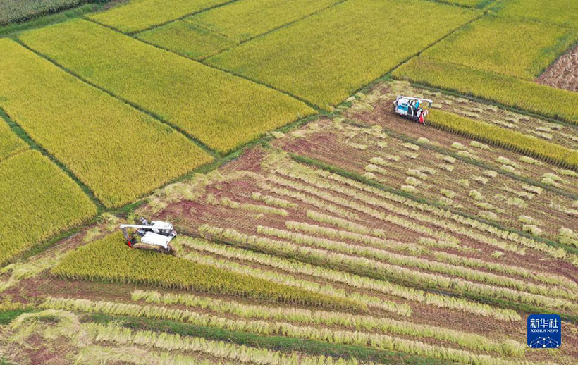 ??????? ????? — ??? ???????? ????????? ??????? ???????? ????? ??????(2)