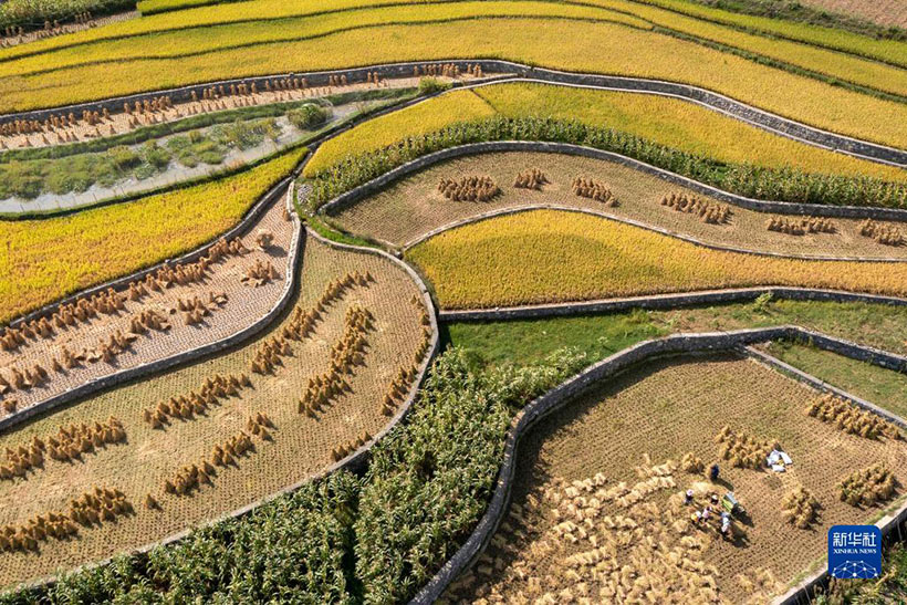 ??????? ????? — ??? ???????? ????????? ??????? ???????? ????? ??????(3)