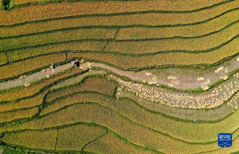 ??????? ????? — ??? ???????? ????????? ??????? ???????? ????? ??????(5)