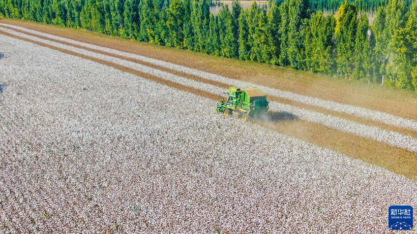 ?????????? ????? ?????????? ?? ???? ????? ????????? ??????? ????? ????? ????????? ????? ???????(3)