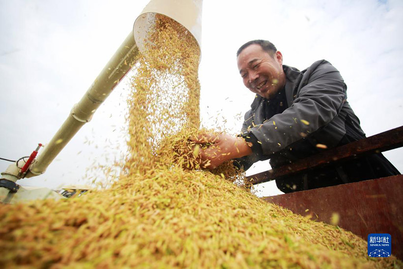 ?????? ??????? ????? ??? ?????????? ????????? ?????? ?????????(2)