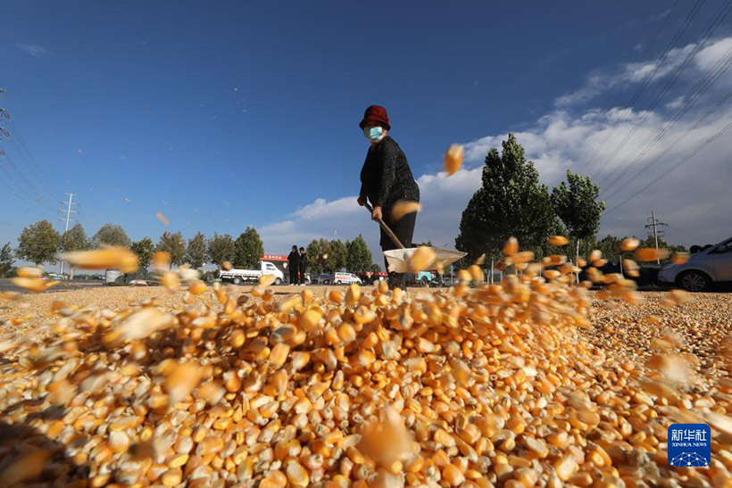 ?????? ??????? ????? ??? ?????????? ????????? ?????? ?????????(3)