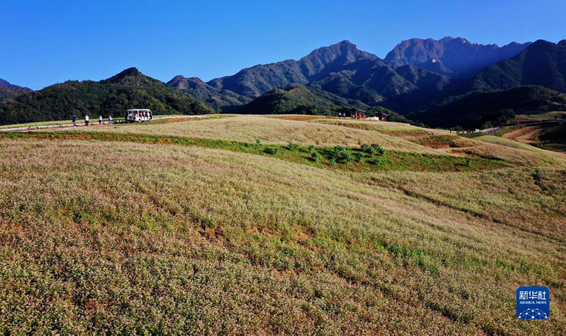 ?? – ??: ????? ??????????? ??????? ???????? ?????? ?????? ???? – ???????? ?????????? ??? ?????(3)