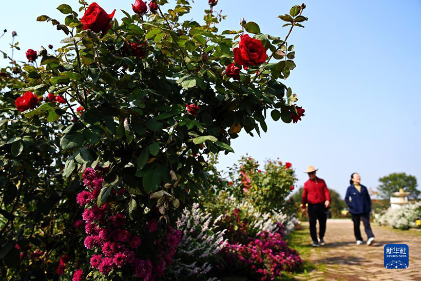 ?? – ??: ????? ??????????? ??????? ???????? ?????? ?????? ???? – ???????? ?????????? ??? ?????(4)