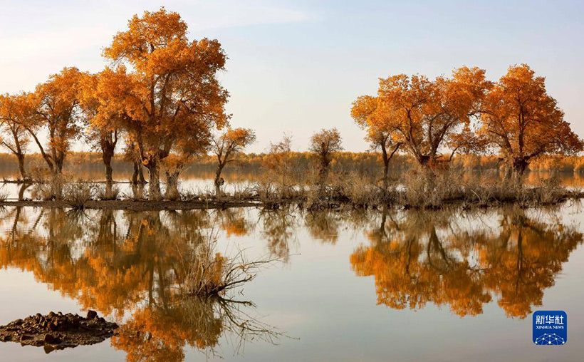 ??????? ????? ????? ?????: ??????? ????????? ????? ??????? ?????? ????????(5)