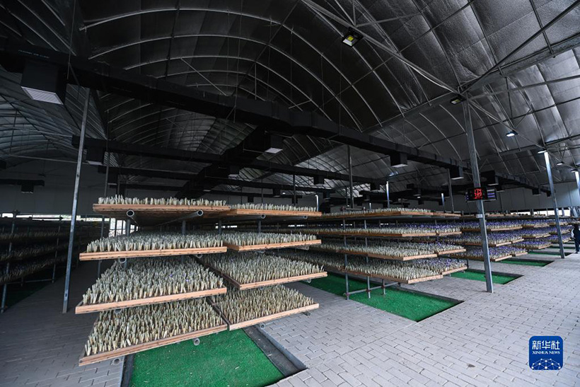 ??????: ??????? ??????? ?????????? ????? ??? ???????(5)