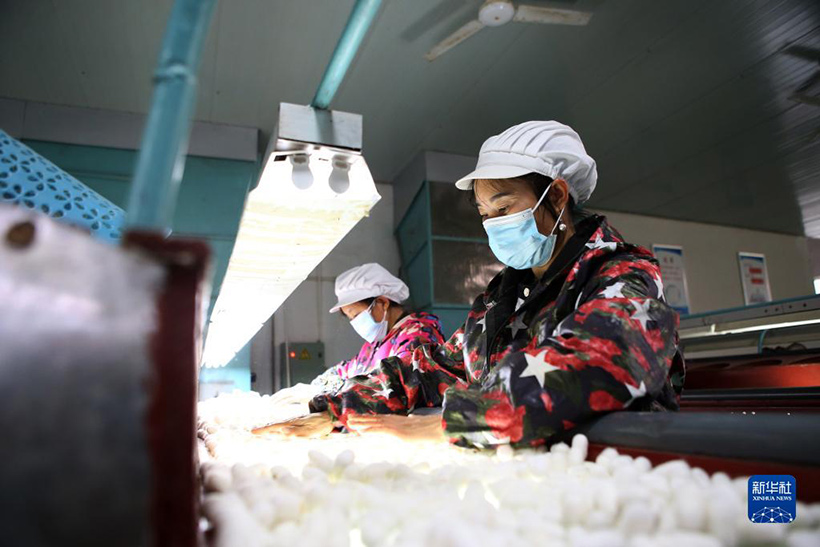 ?????? ?????? ???????? ?????? ??? ?????? ????? ????? ?????? ???? ??????? ???????? ???? - ???????? ???????????? ??? ?????(3)