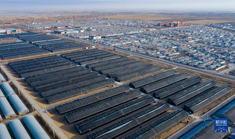 ????????? ????? ??????: ??????? ???????????? ????? ?????? ?????? ???? – ???????? ???????????? ??? ?????(4)