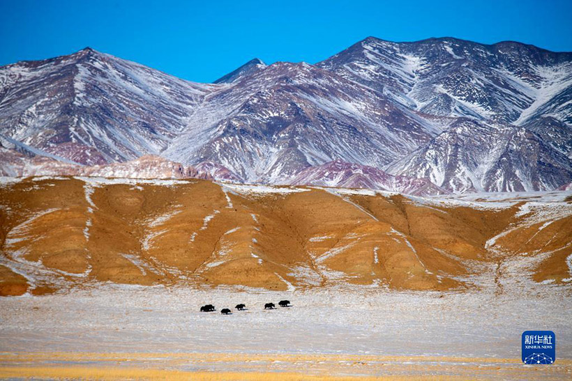 ???????? ?????? ??????????? ??????(4)