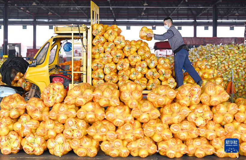 ?????? ???????? ??????? ?????? ????? – ????? ????????? ?????????????? ??? ???????? ???????(3)