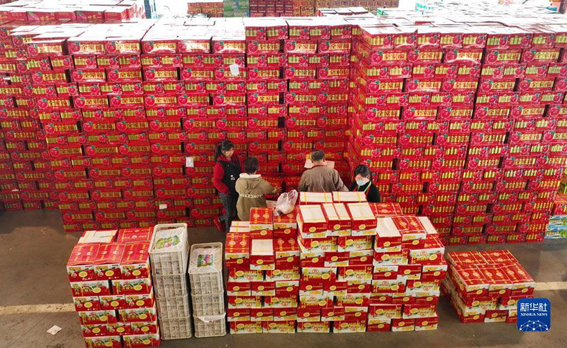 ?????? ???????? ??????? ?????? ????? – ????? ????????? ?????????????? ??? ???????? ???????(4)