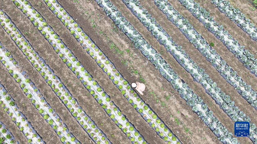 ???????? ??????? ??????? (3)